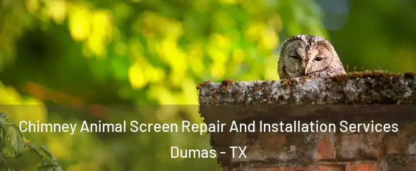  Chimney Animal Screen Repair And Installation Services Dumas - TX