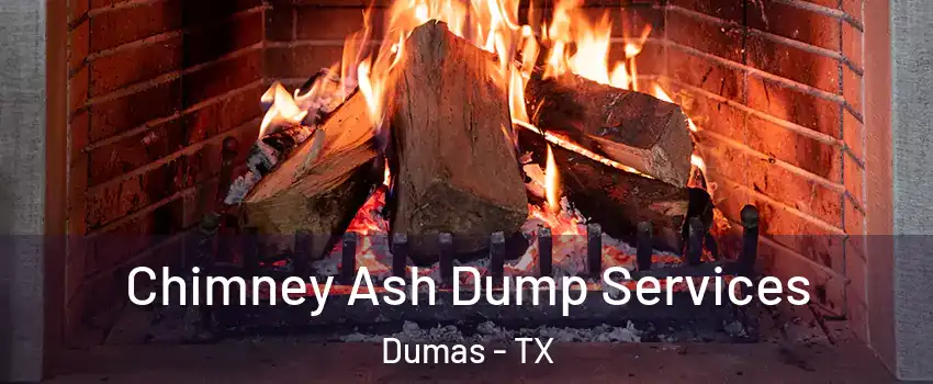  Chimney Ash Dump Services Dumas - TX