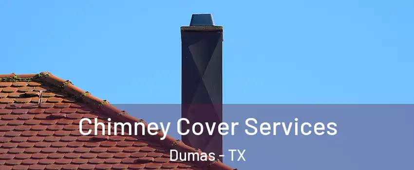  Chimney Cover Services Dumas - TX