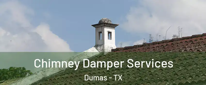  Chimney Damper Services Dumas - TX