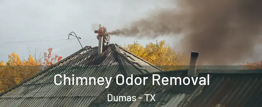  Chimney Odor Removal Dumas - TX