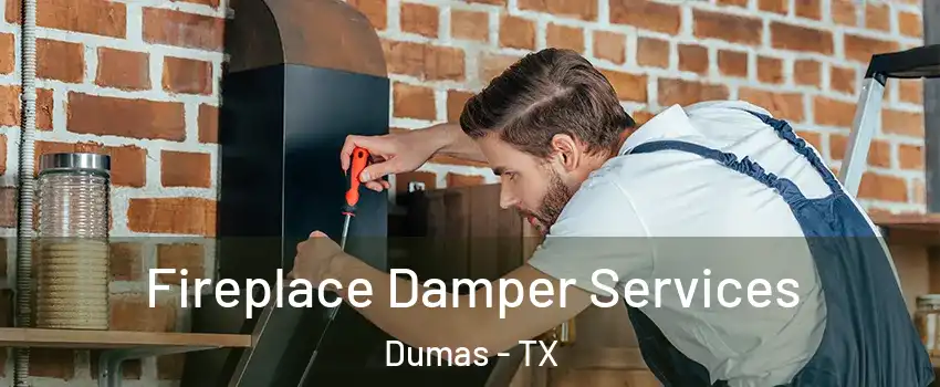  Fireplace Damper Services Dumas - TX