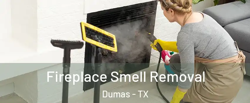  Fireplace Smell Removal Dumas - TX