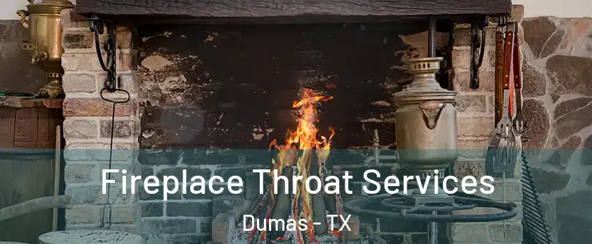  Fireplace Throat Services Dumas - TX