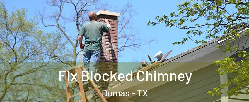  Fix Blocked Chimney Dumas - TX