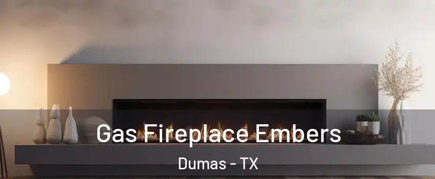  Gas Fireplace Embers Dumas - TX