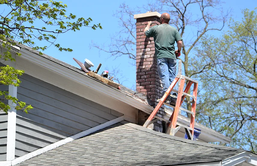Chimney & Fireplace Inspections Services in Dumas, TX