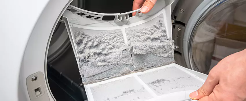 Best Dryer Lint Removal Company in Dumas, Texas
