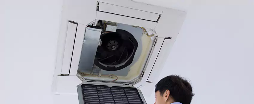 Benefits of Professional Air Duct Cleaning in Dumas, Texas