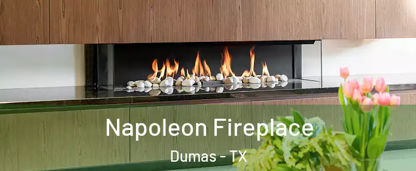  Napoleon Fireplace Dumas - TX